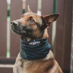 Tour de Cou BSD Noir